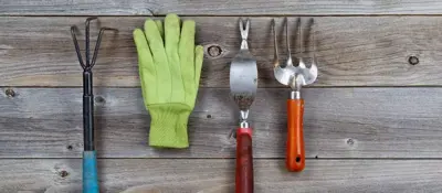 Gloves & Hand Tools