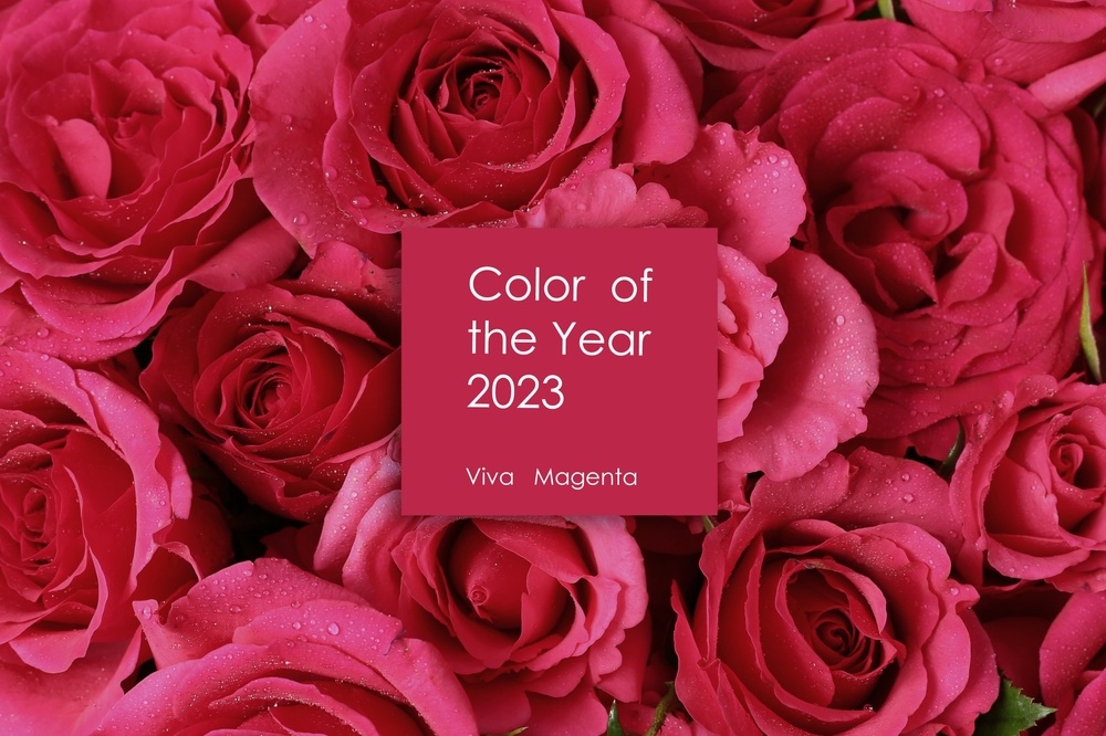 Pantone Colour of the Year: Viva Magenta - Landscape Ontario